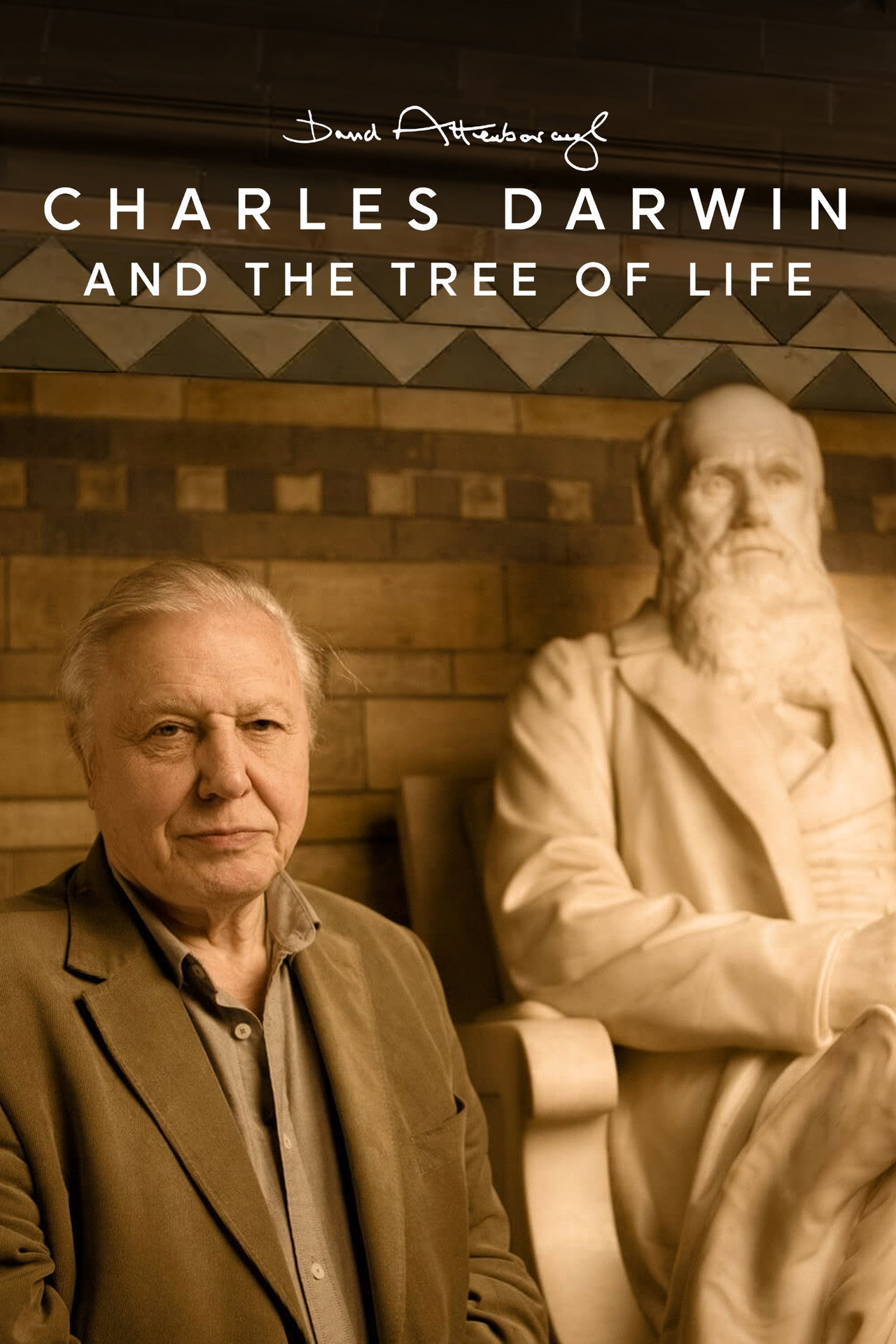 Charles Darwin y el árbol de la vida (2009)