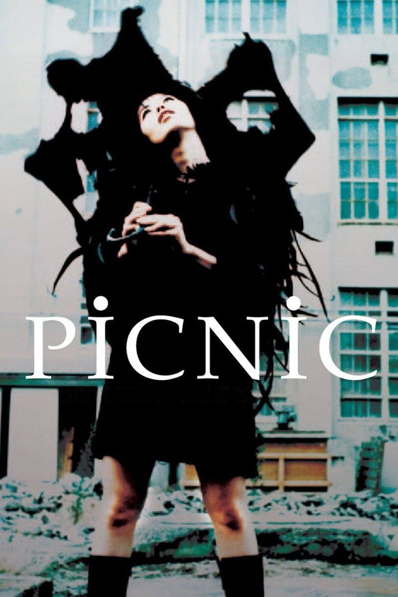Picnic (1996) poster