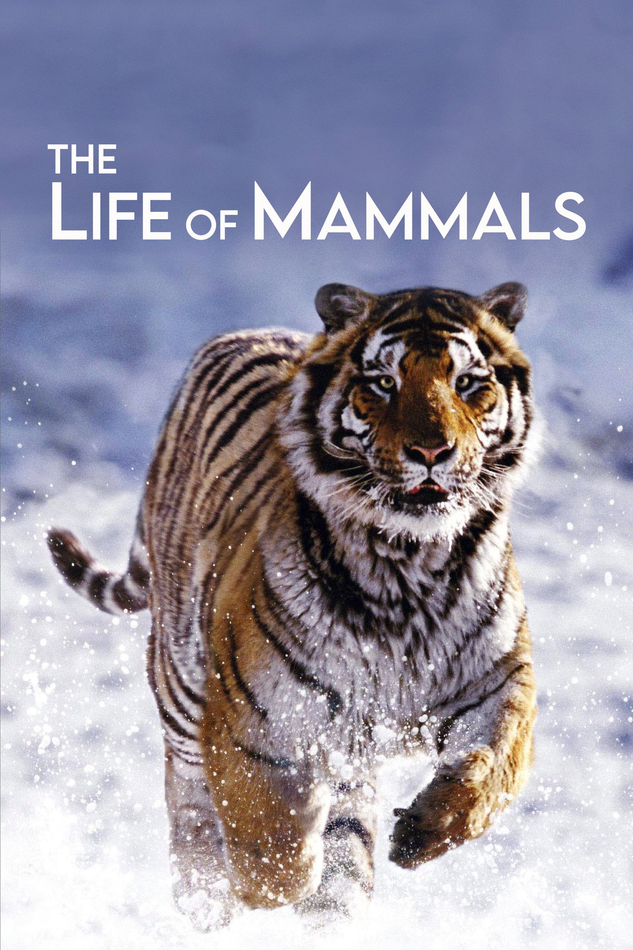 The Life of Mammals (2002)