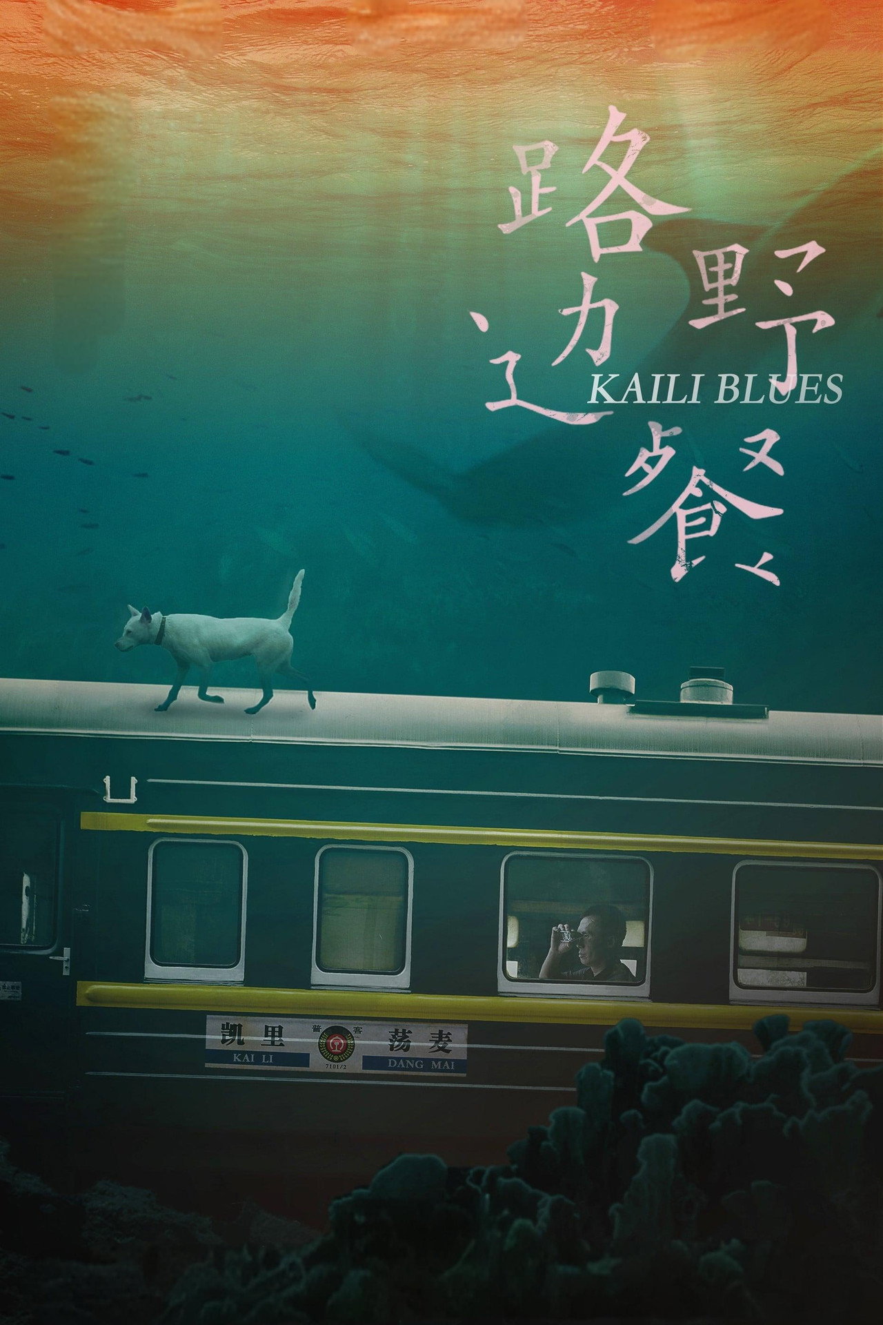 Kaili Blues (2016) - Movie