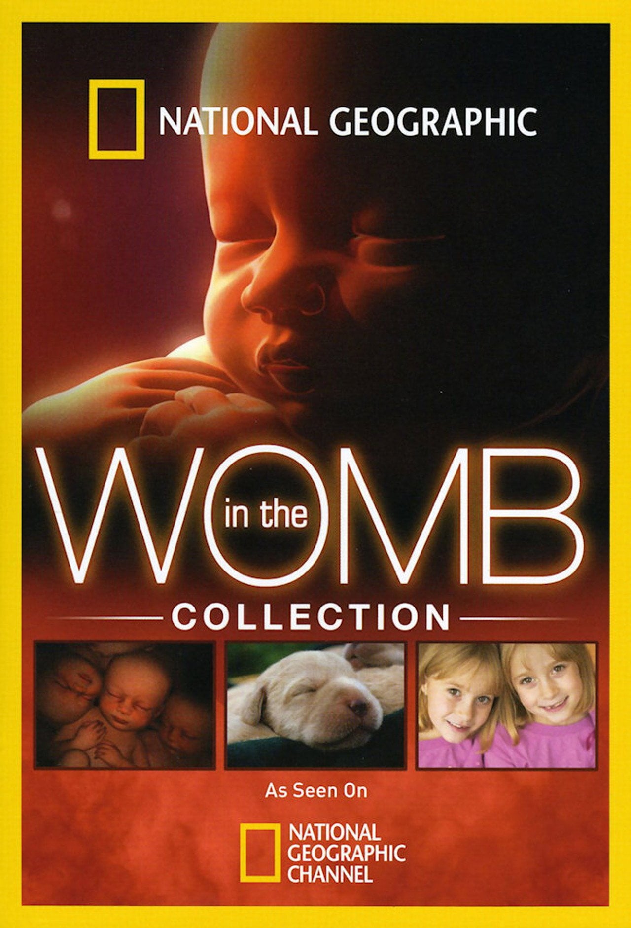 Life Before Birth (2005)