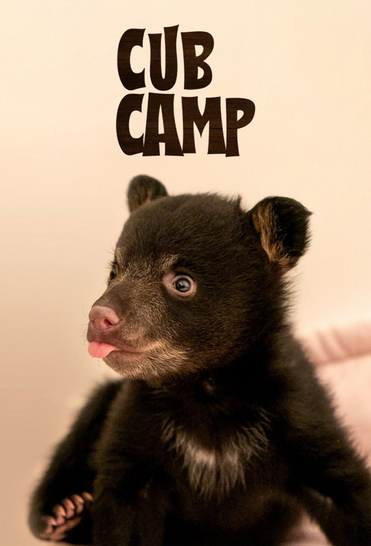 Cub Camp (2025) - TV