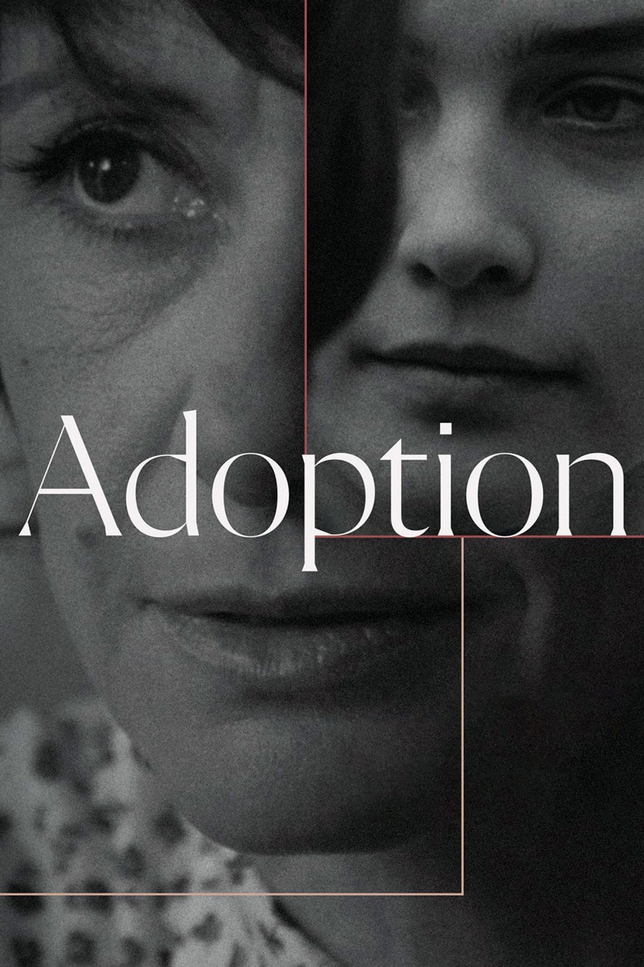 Adoption (1975) poster