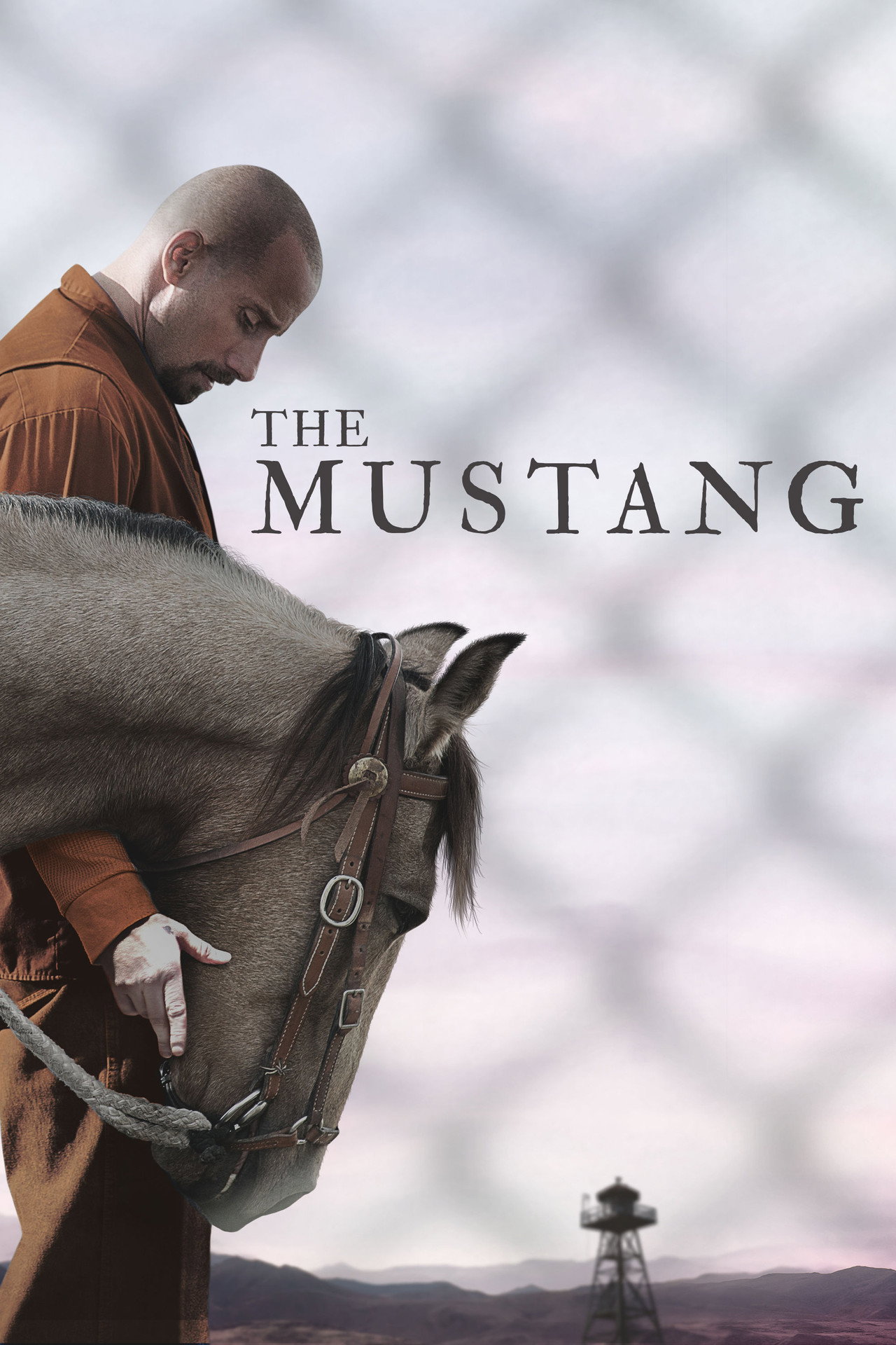The Mustang (2019) - Movie