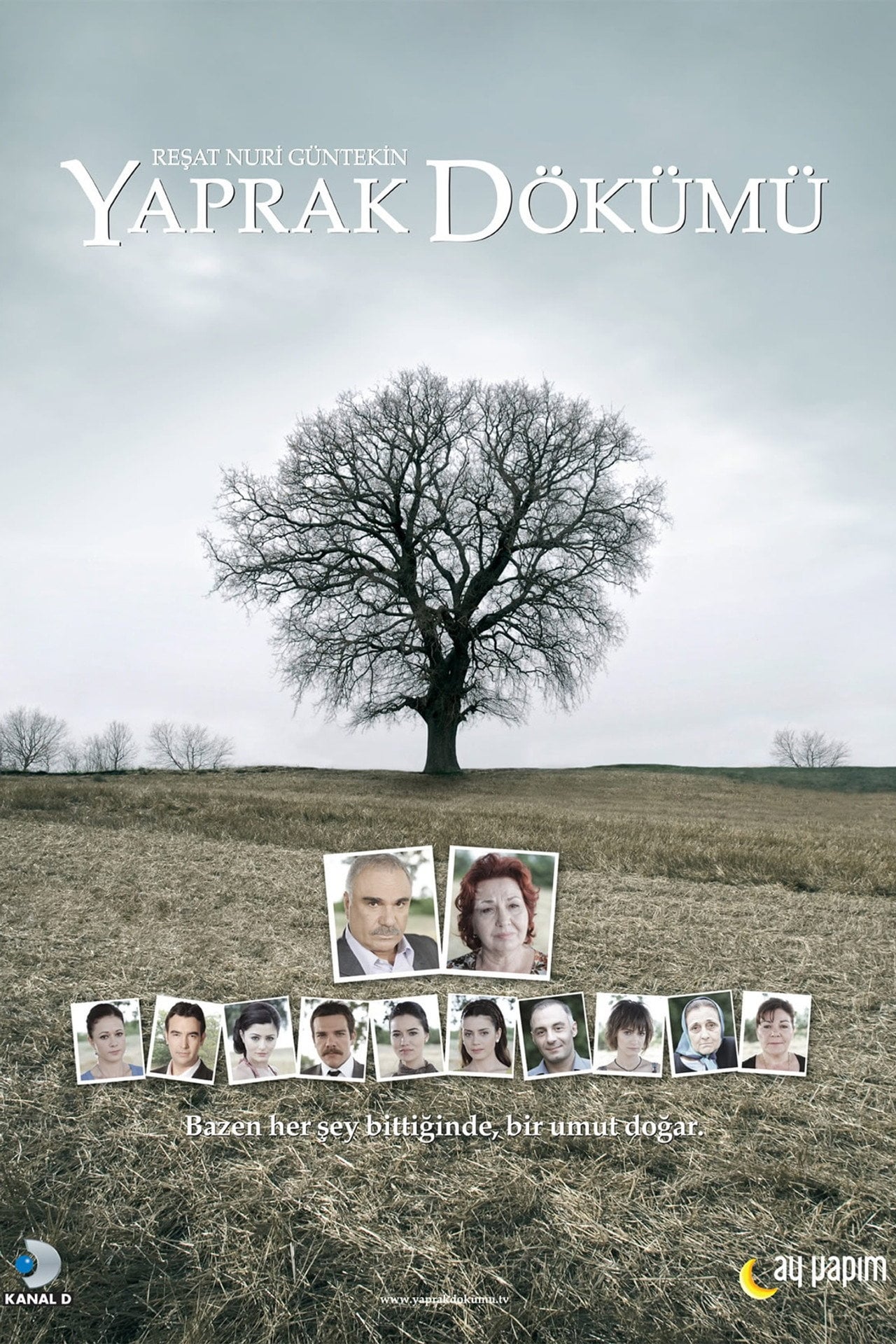 Falling Leaves (2006)