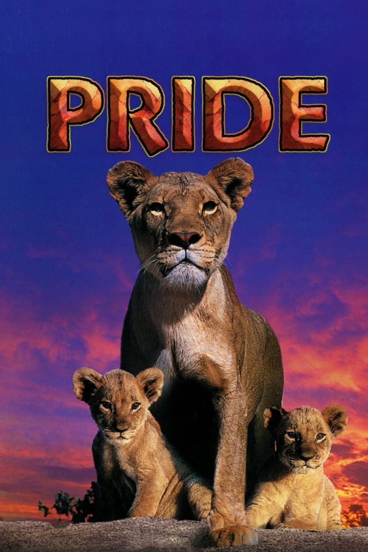 Suki: La Leoncita Valiente (2004)