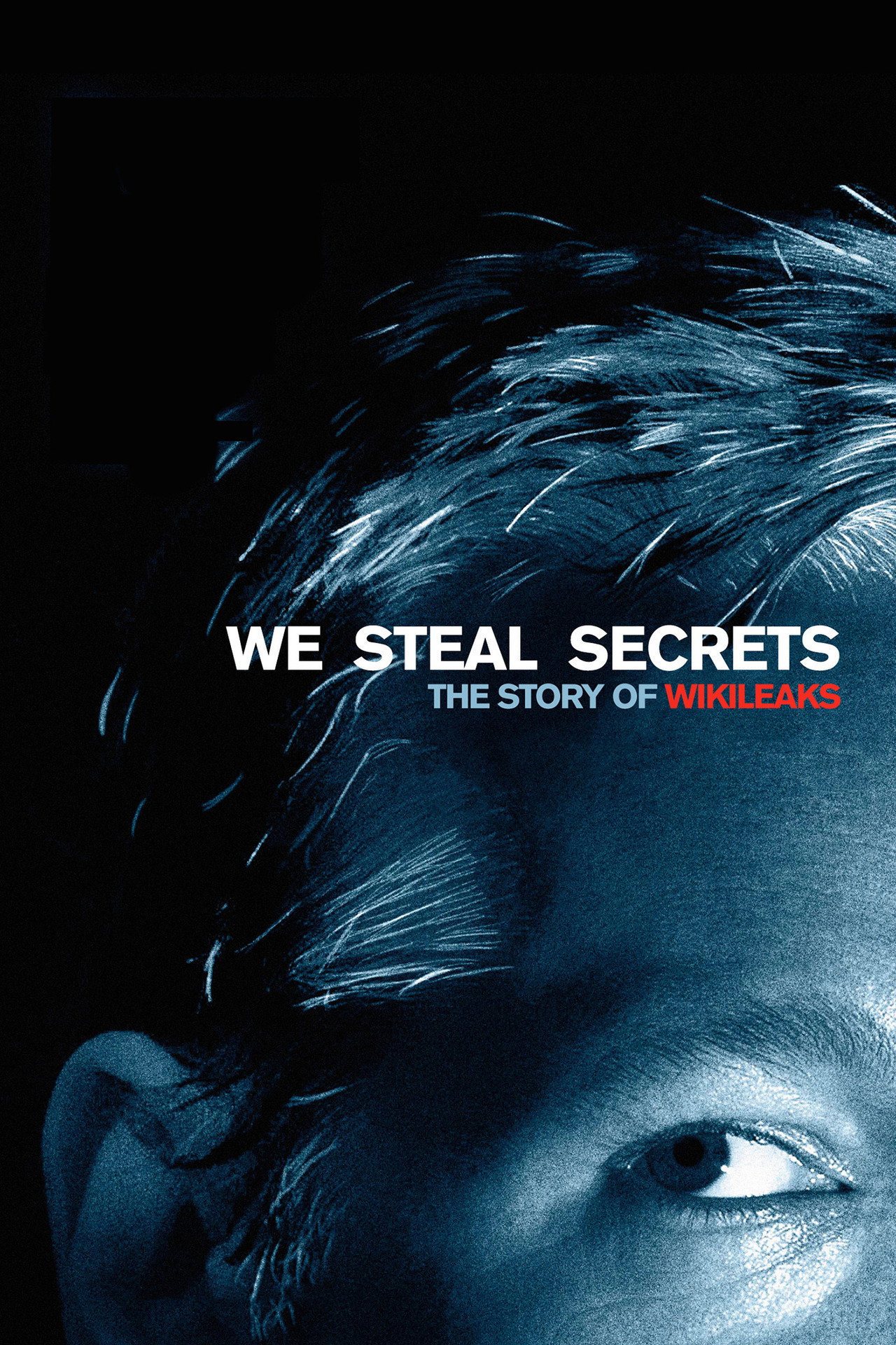 We Steal Secrets (2013) poster
