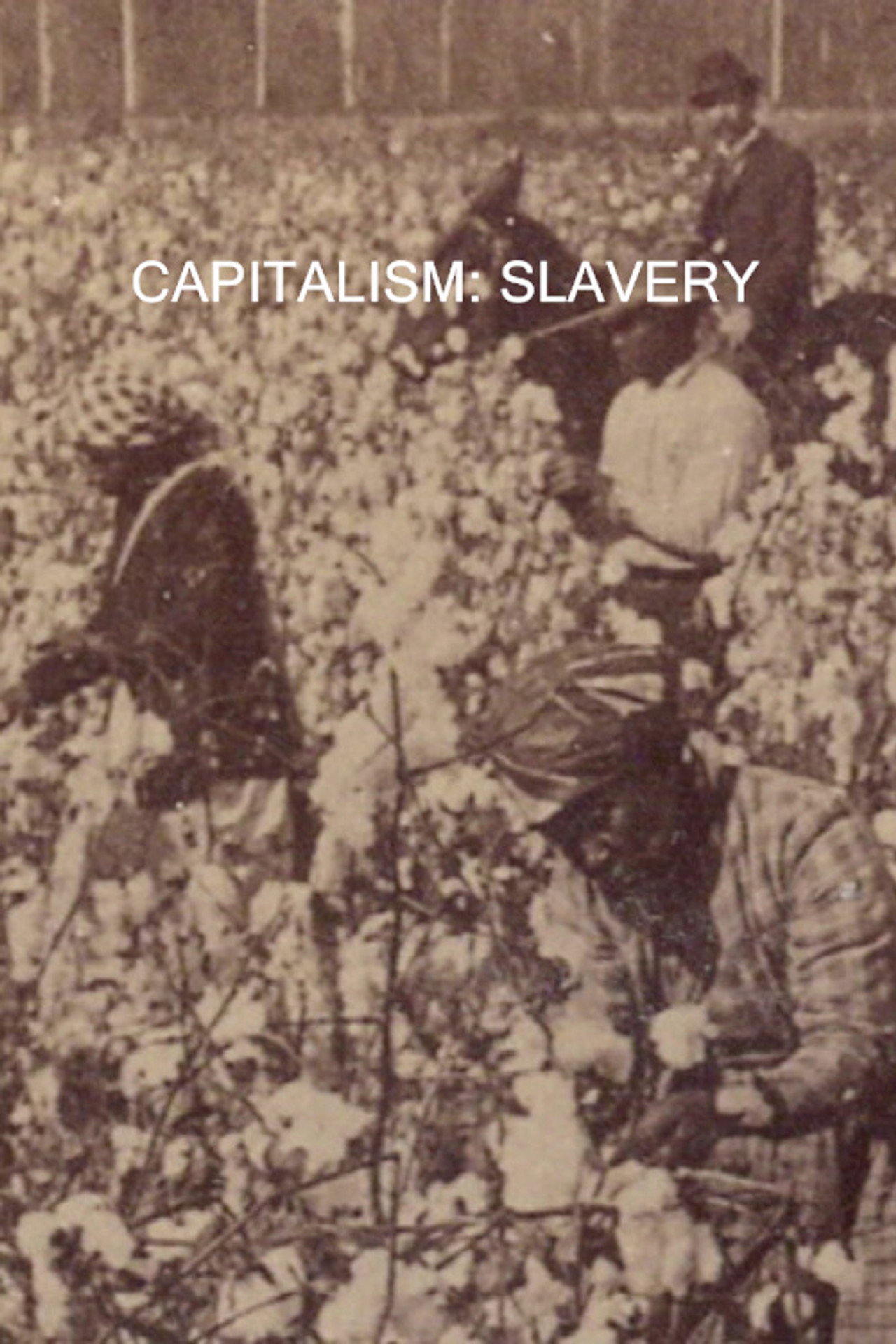 Capitalism: Slavery (2007) poster