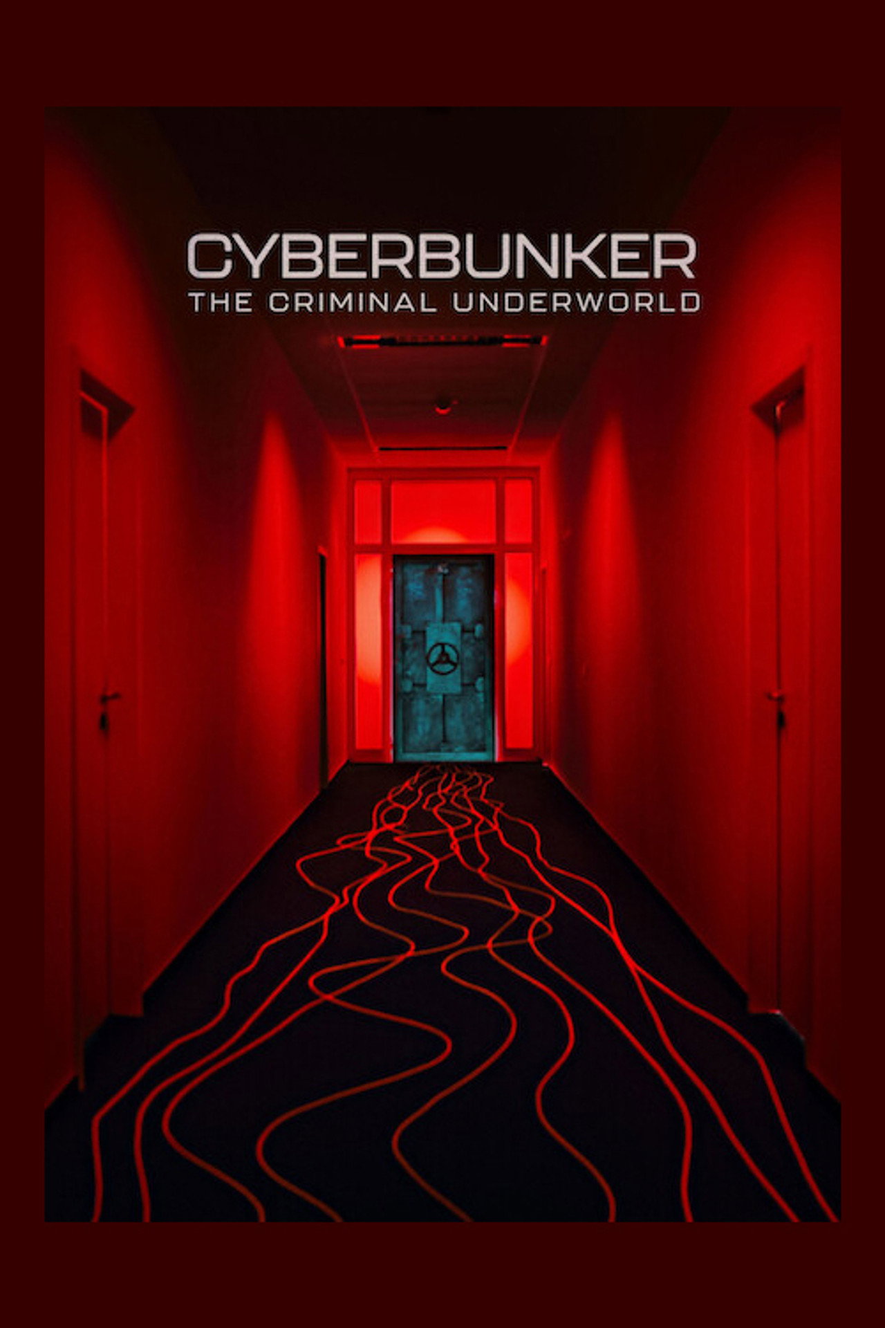 Кибербункер: даркнет в Германии (2023) poster