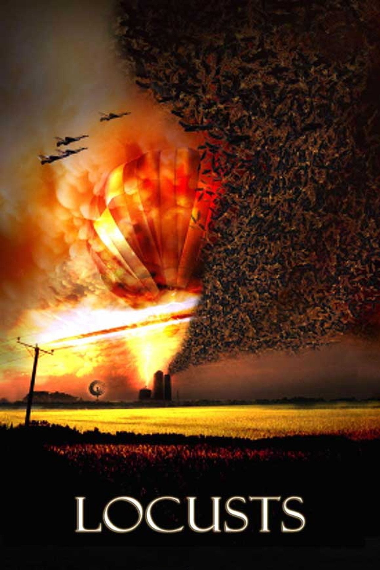 El Año De La Plaga (2005) poster