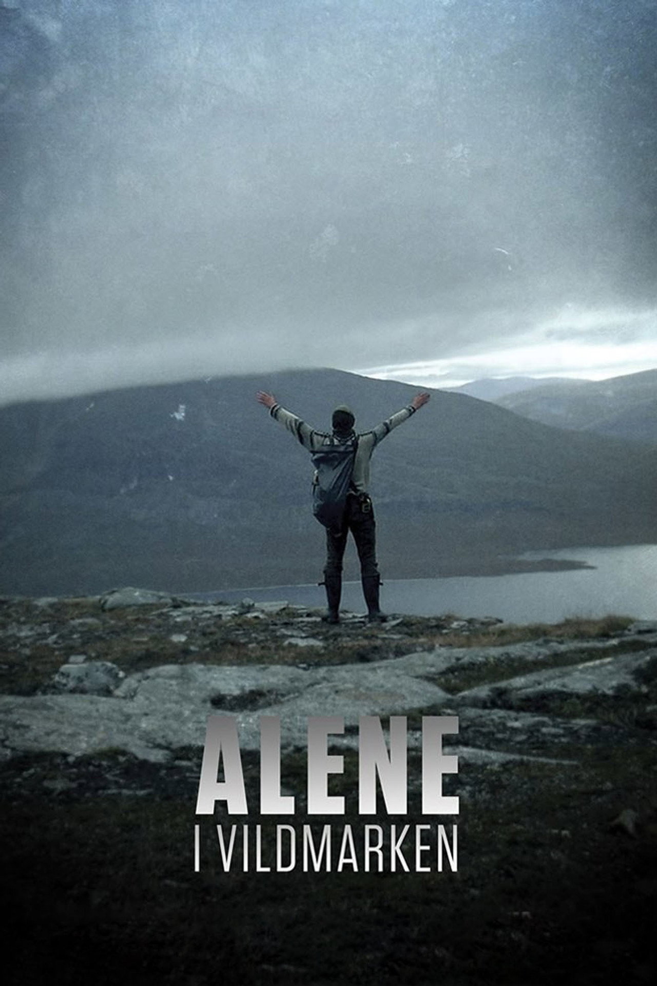 Alone in the Wilderness (2017) poster