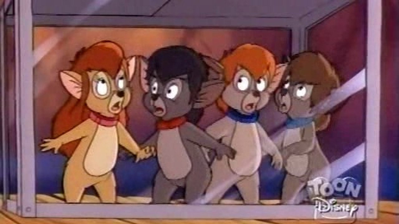 Episodio 58
