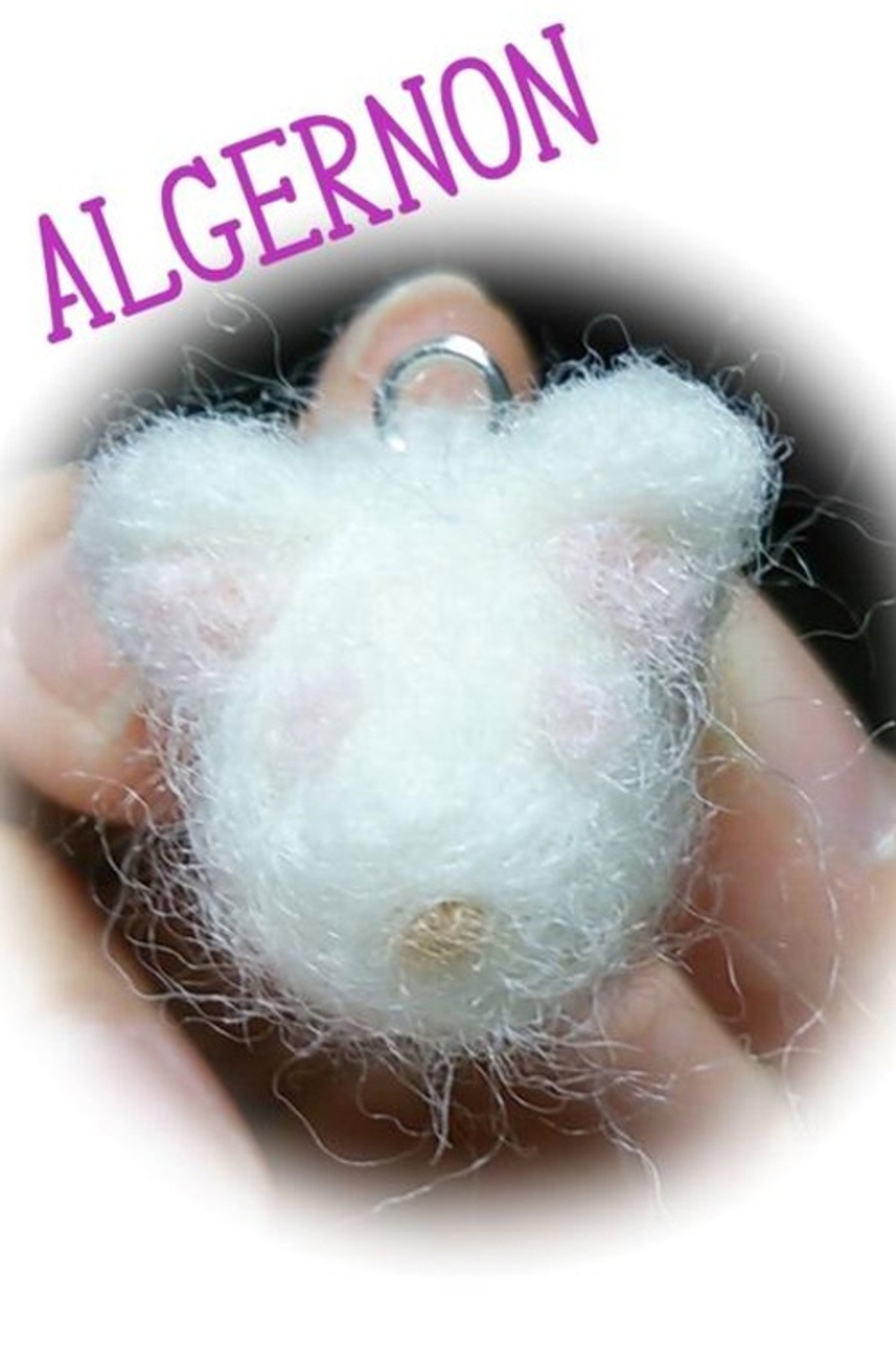 Flores para Algernon (2015)