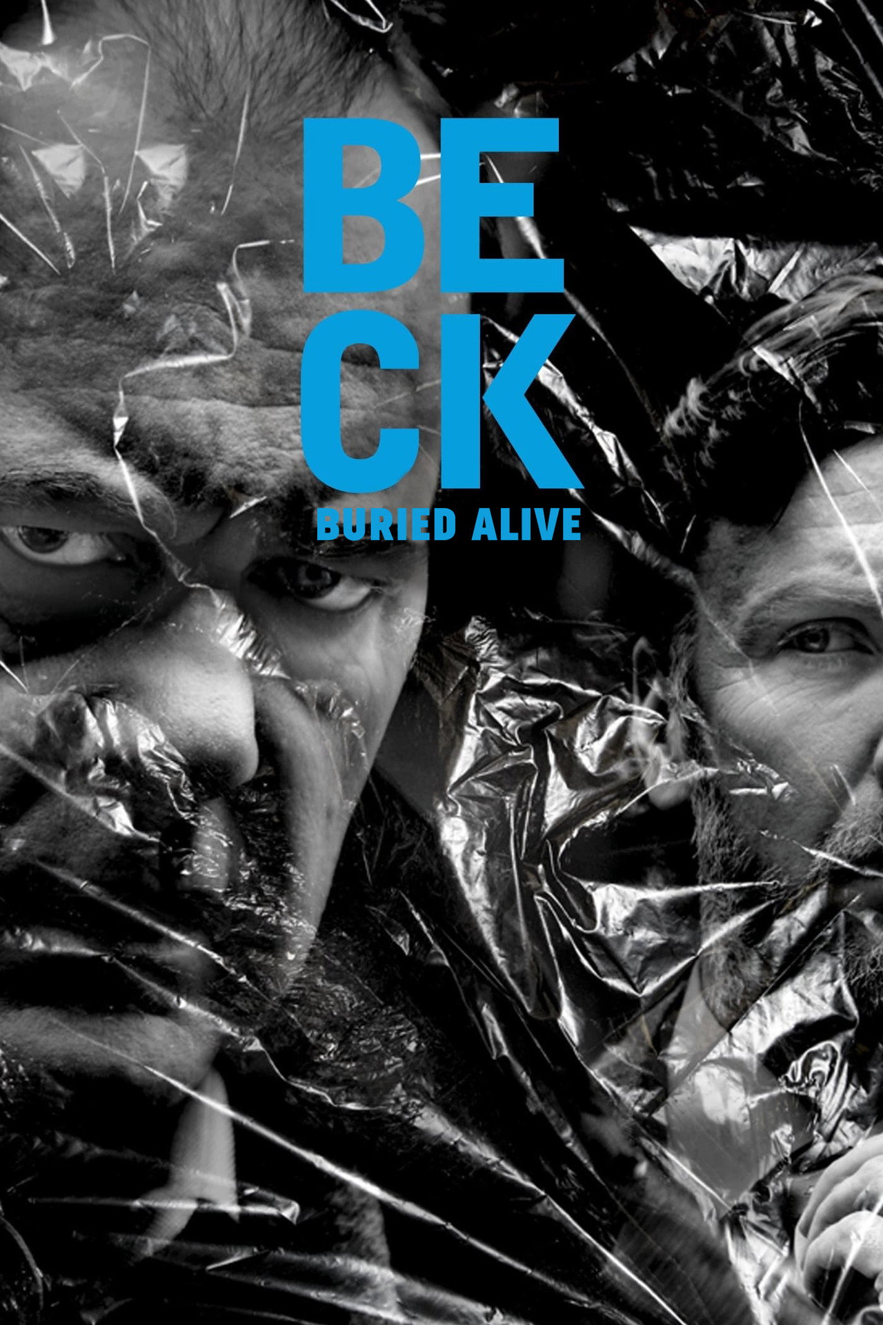 Beck 26 - Buried Alive (2010)