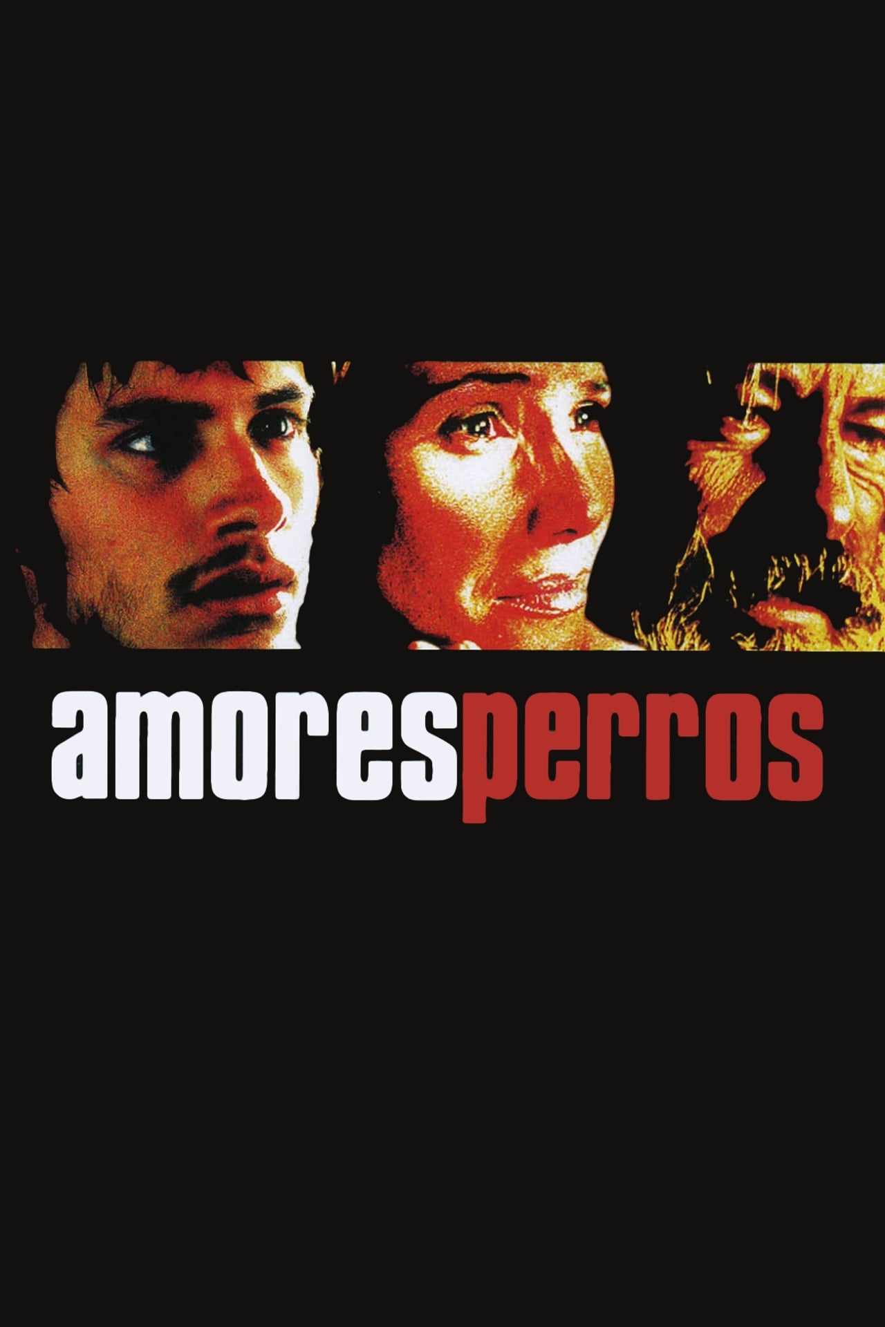 Amores Perros (2000)