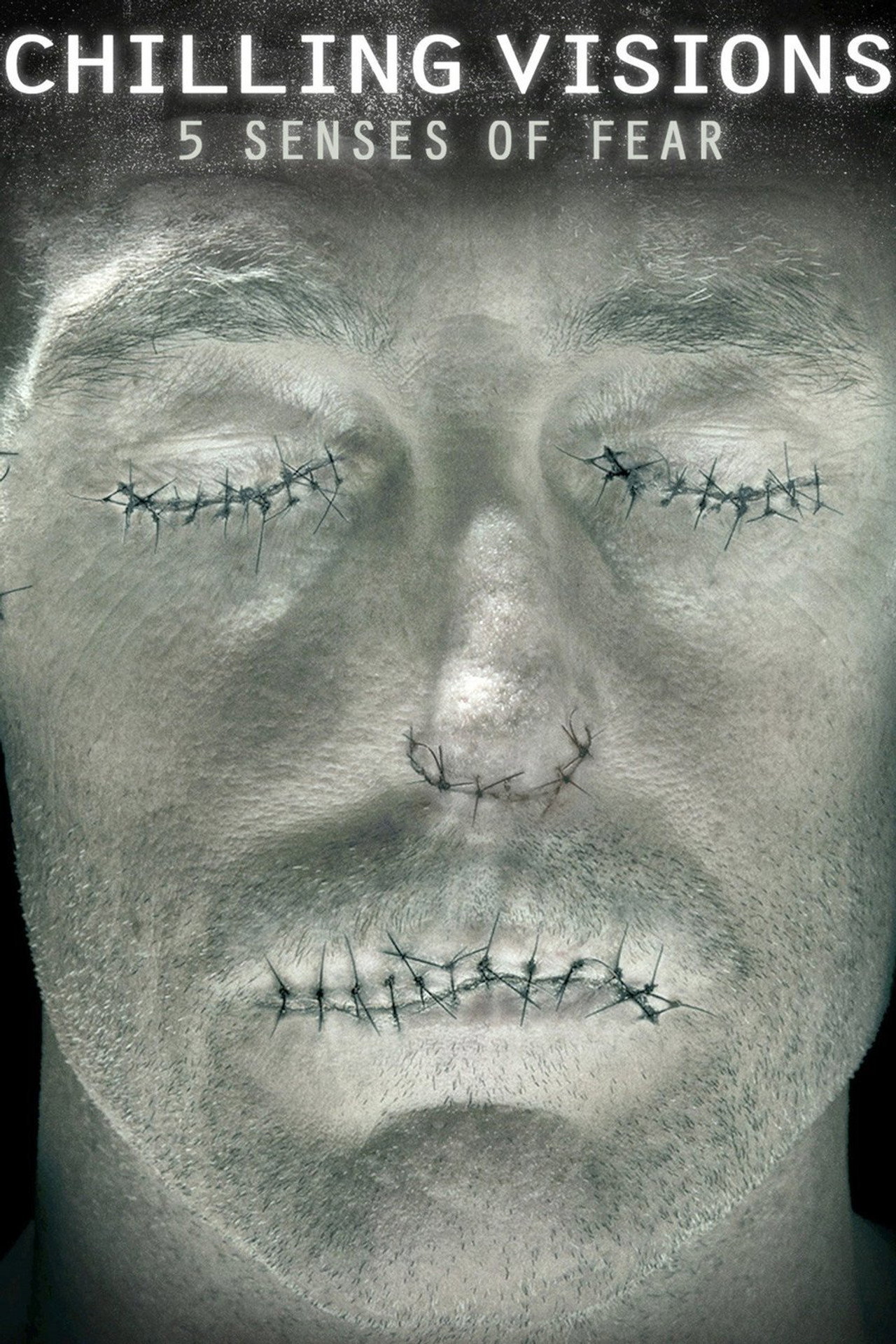 恐懼幻影 (2013) poster