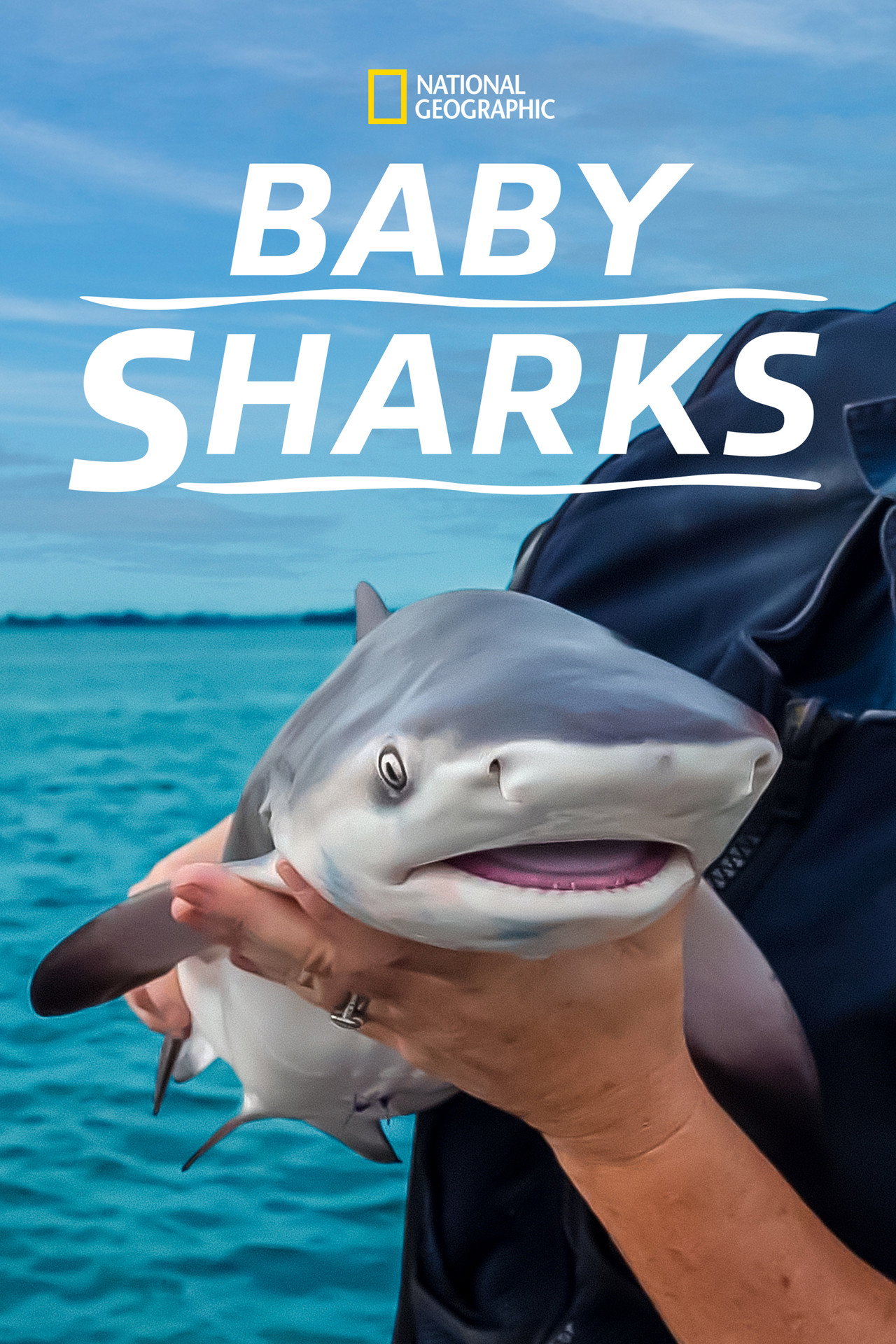 La vie extraordinaire des bébés requins (2022) poster