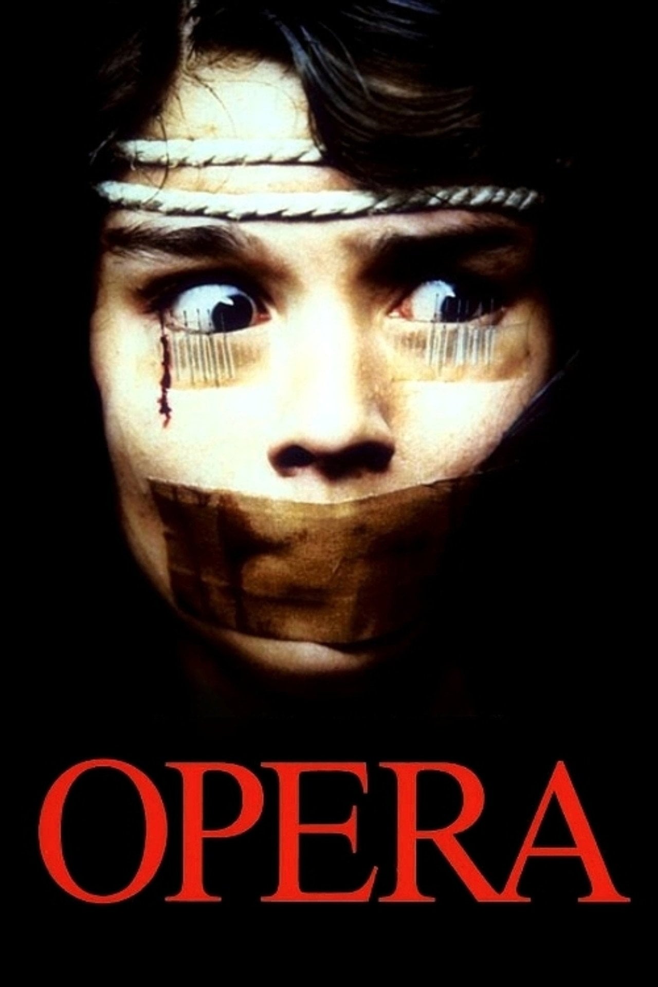 Ужас в опере (1987)