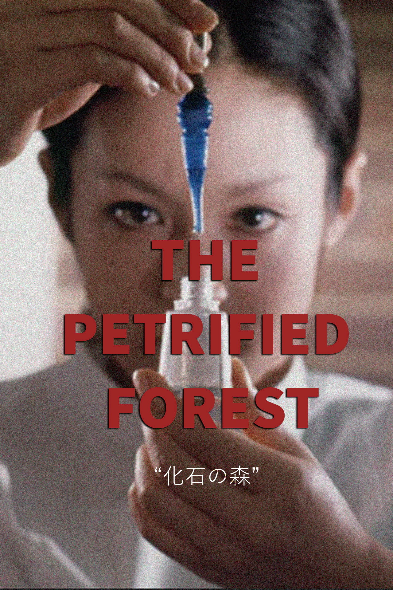 El bosque petrificado (1973) poster