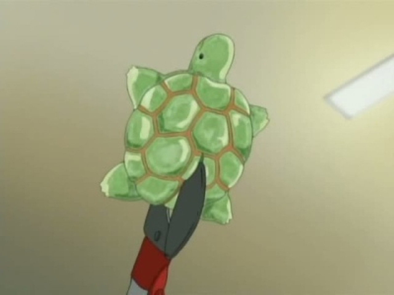 ¡La gran batalla! ¡El dragón de Koala contra la tortuga de Kazuma!