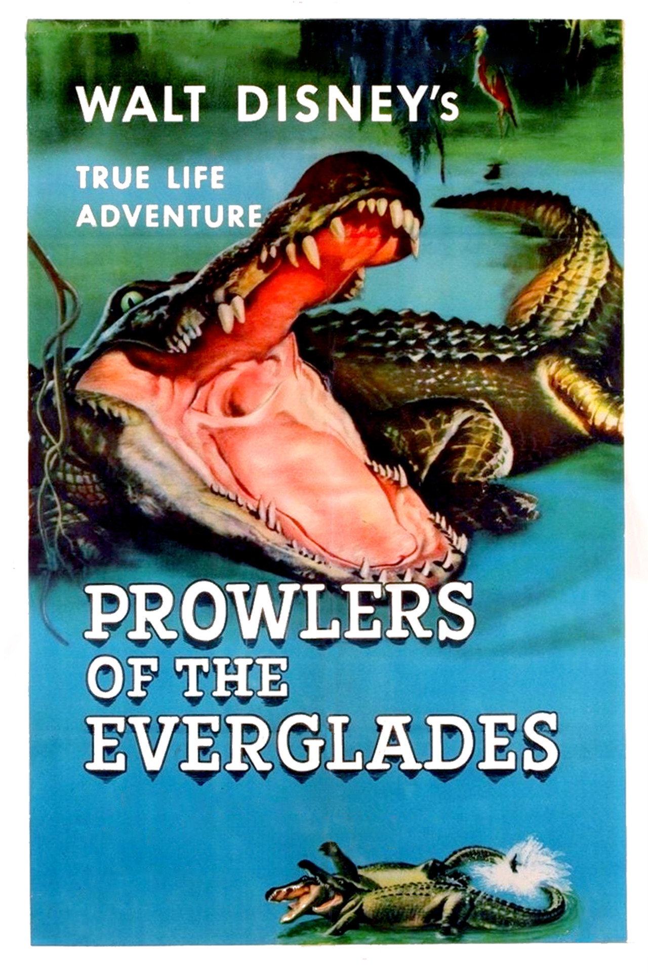 Os Predadores de Everglades (1953)