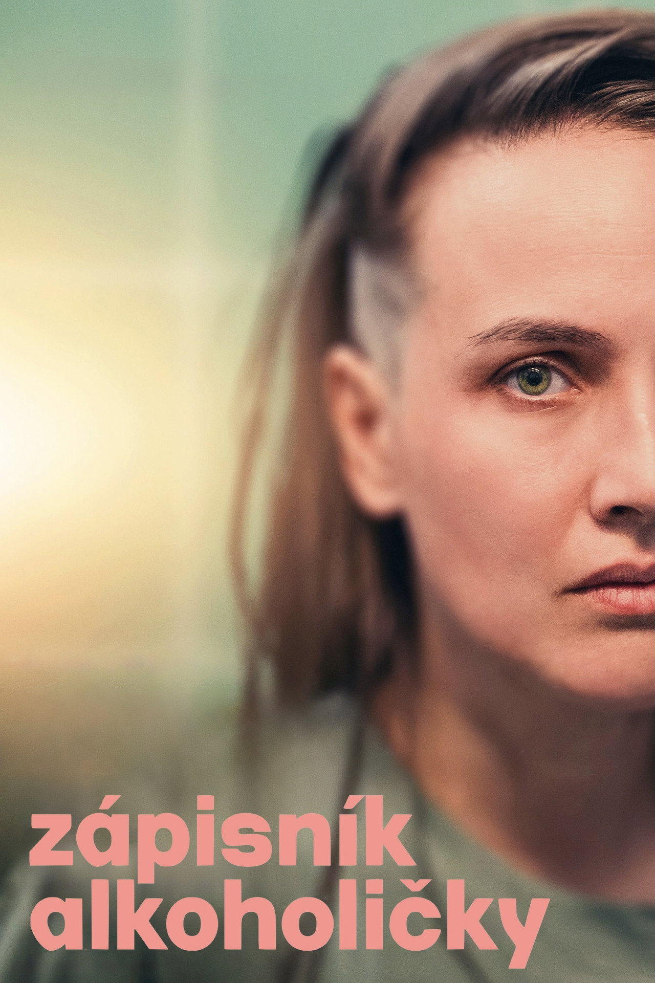 Her Drunken Diary (2024) poster