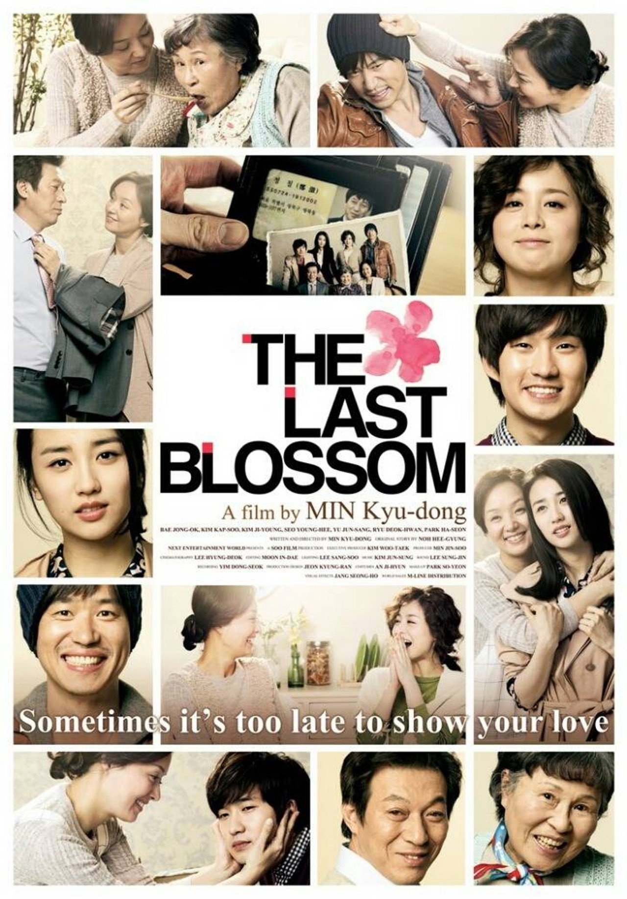 The Last Blossom (2011) poster