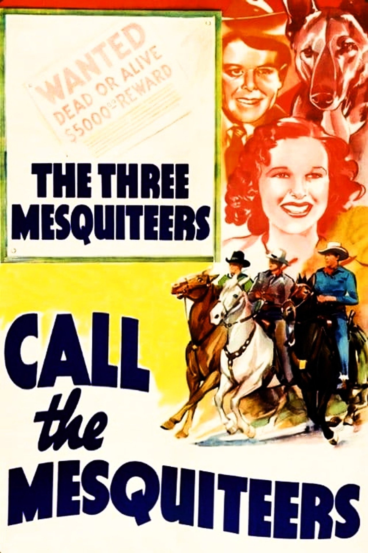 Outlaw's Son [Western] (1938)