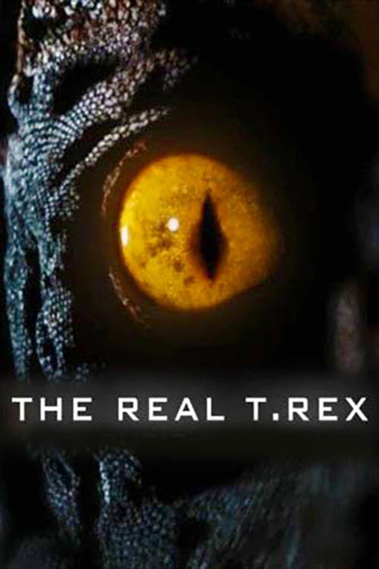 The Real T rex with Chris Packham. (2018) poster