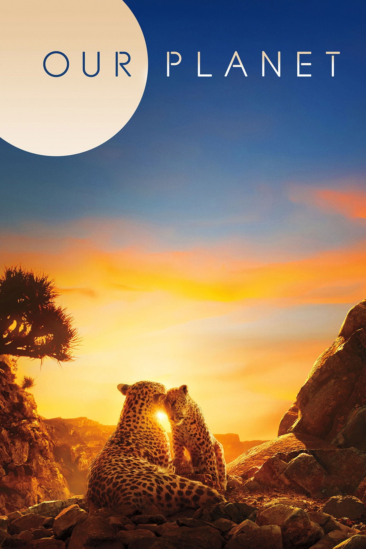 Our Planet (2019) - TV