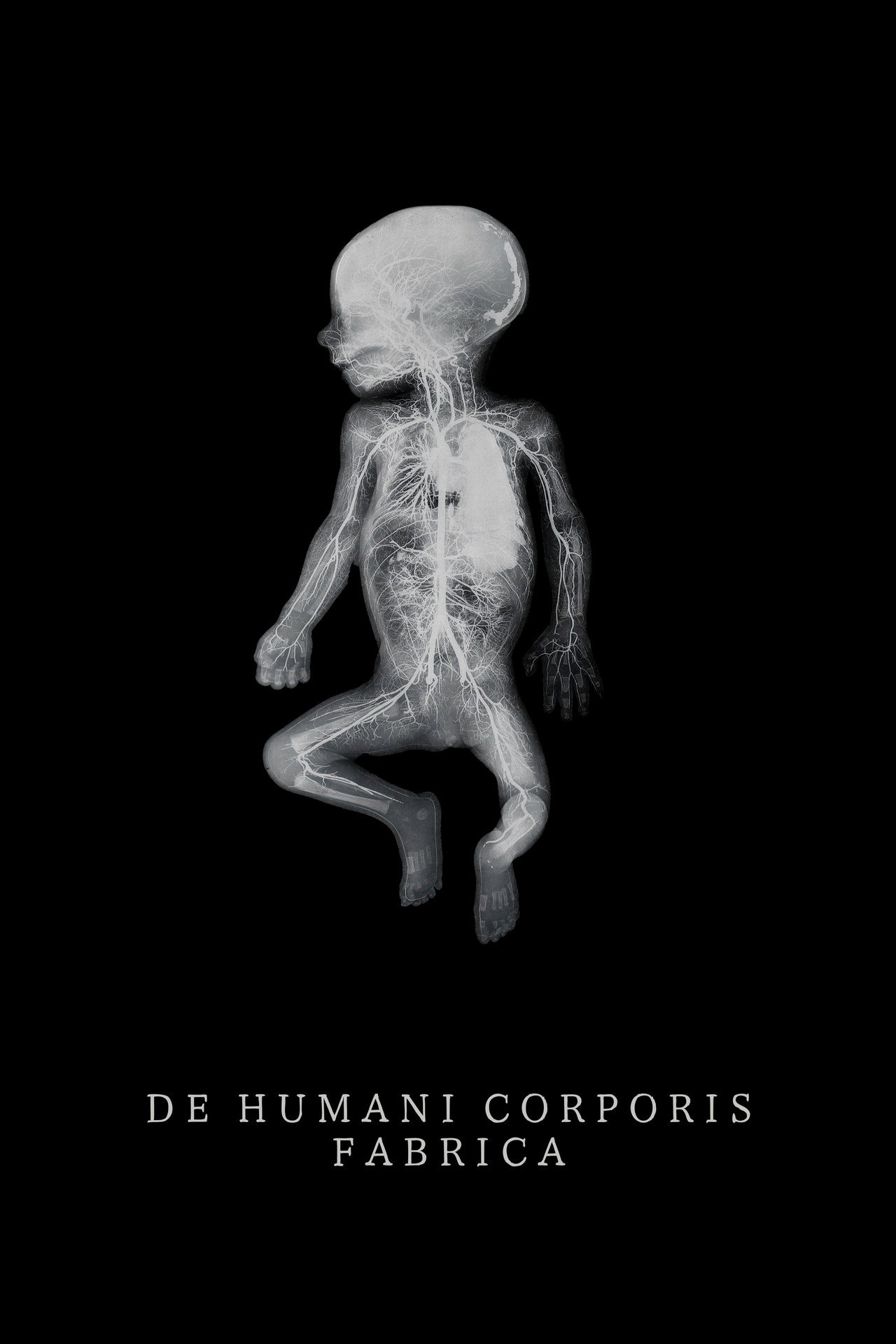 The Fabric of the Human Body (2023) - Movie