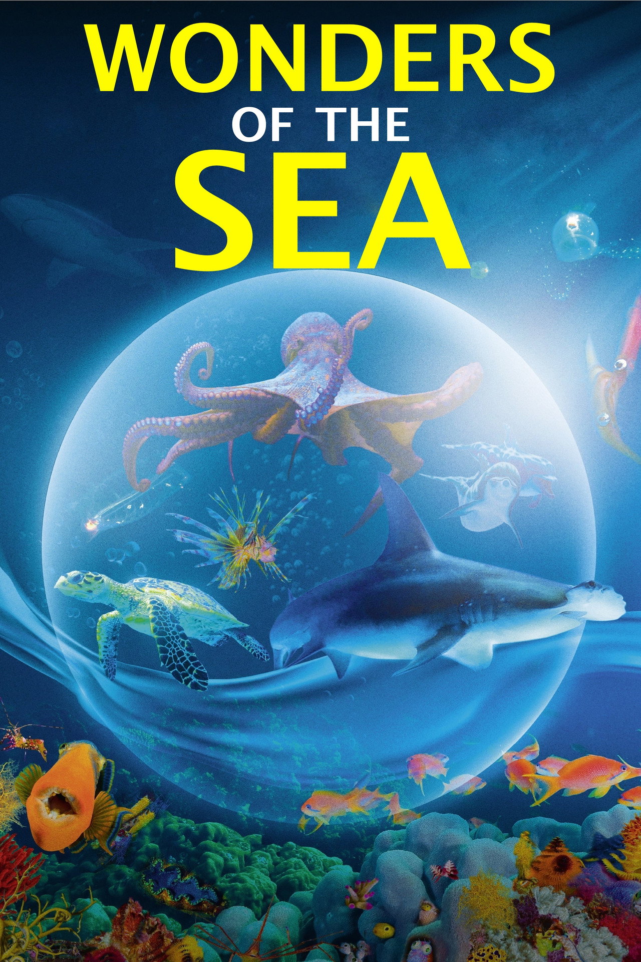 Чудеса моря 3D (2017) - Фильм