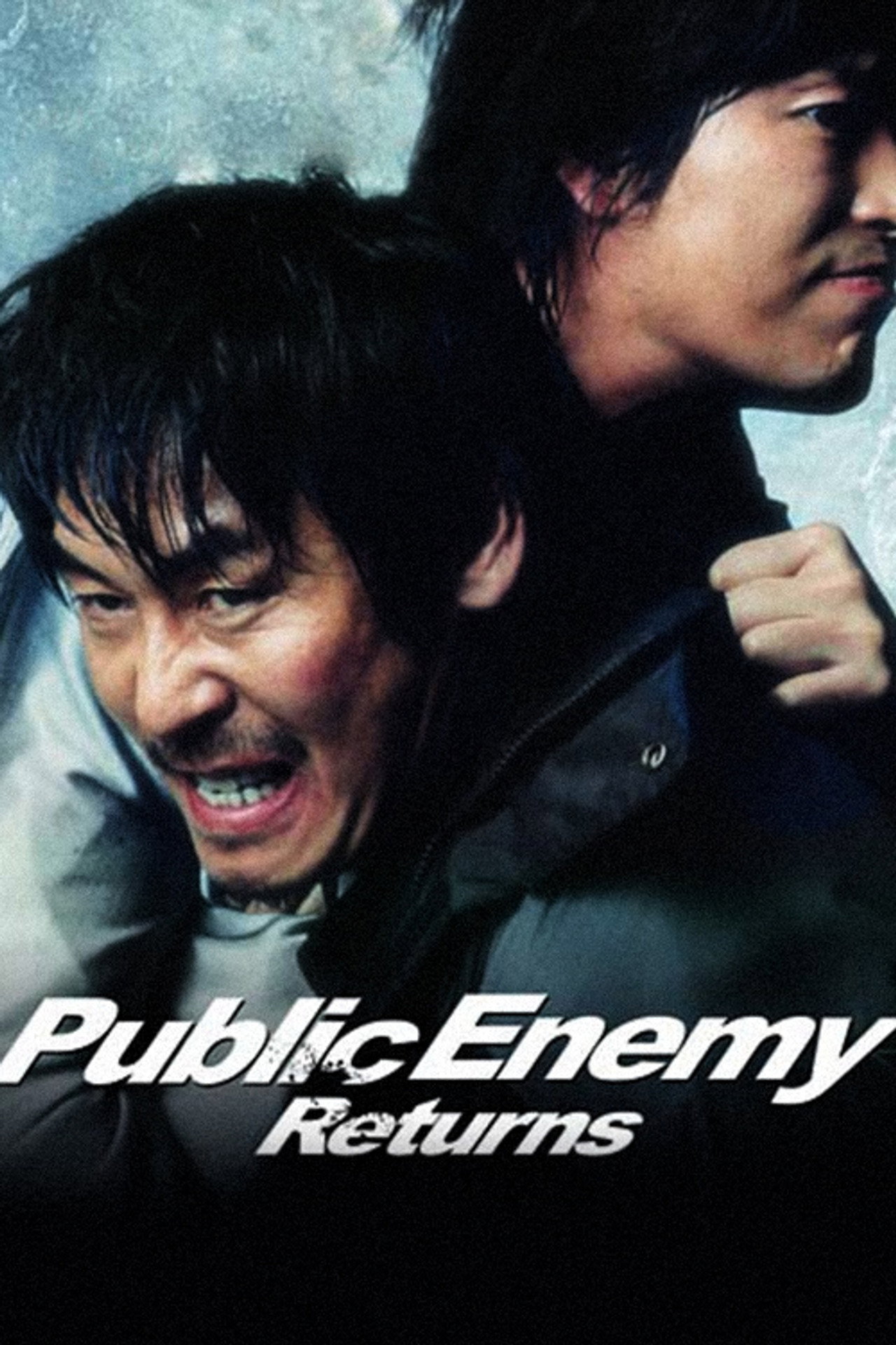 人民公敵3 (2008) - 电影