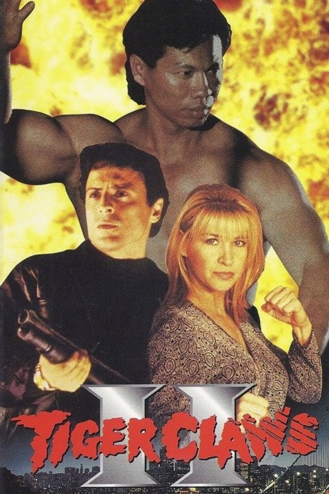 捍卫危机2 (1996)