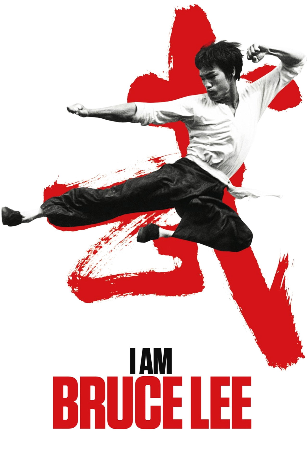 Moi, Bruce Lee (2012)