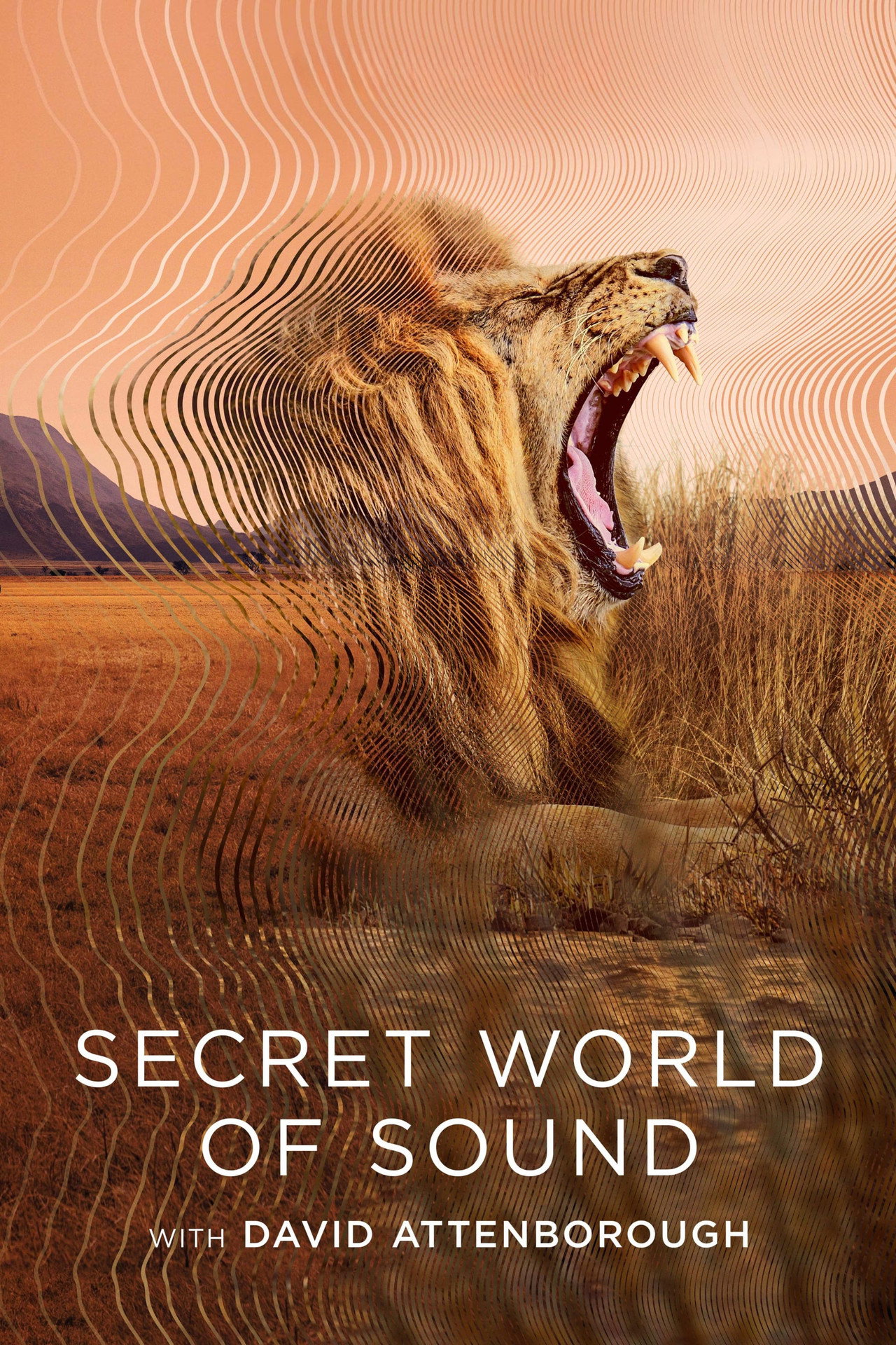 Secret World of Sound (2024) - TV