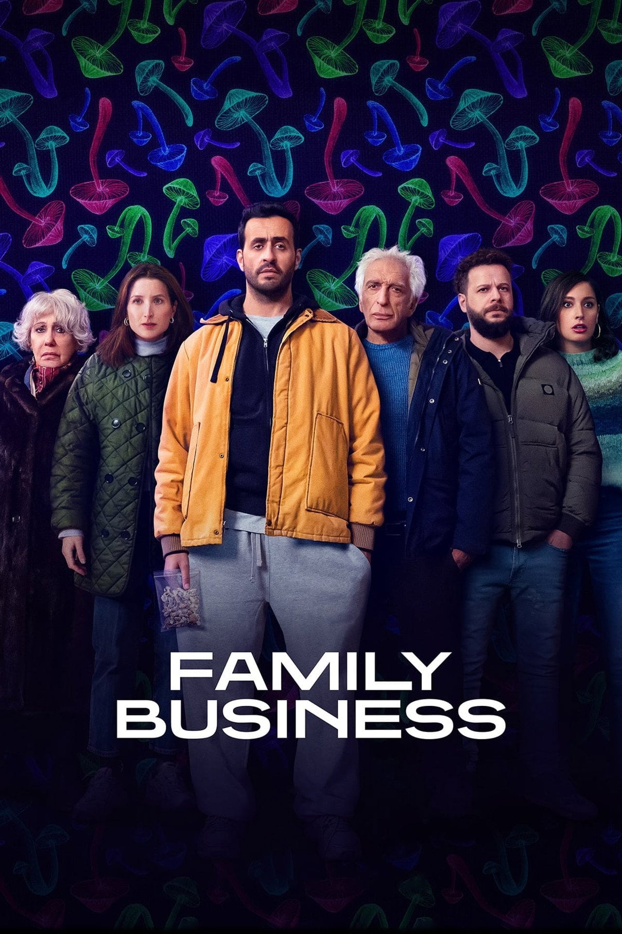 Family Business (2019) poster