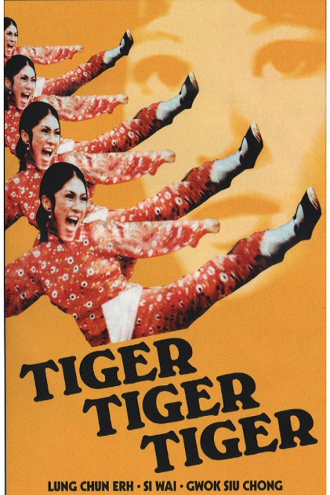 Tiger Bay (1973) poster