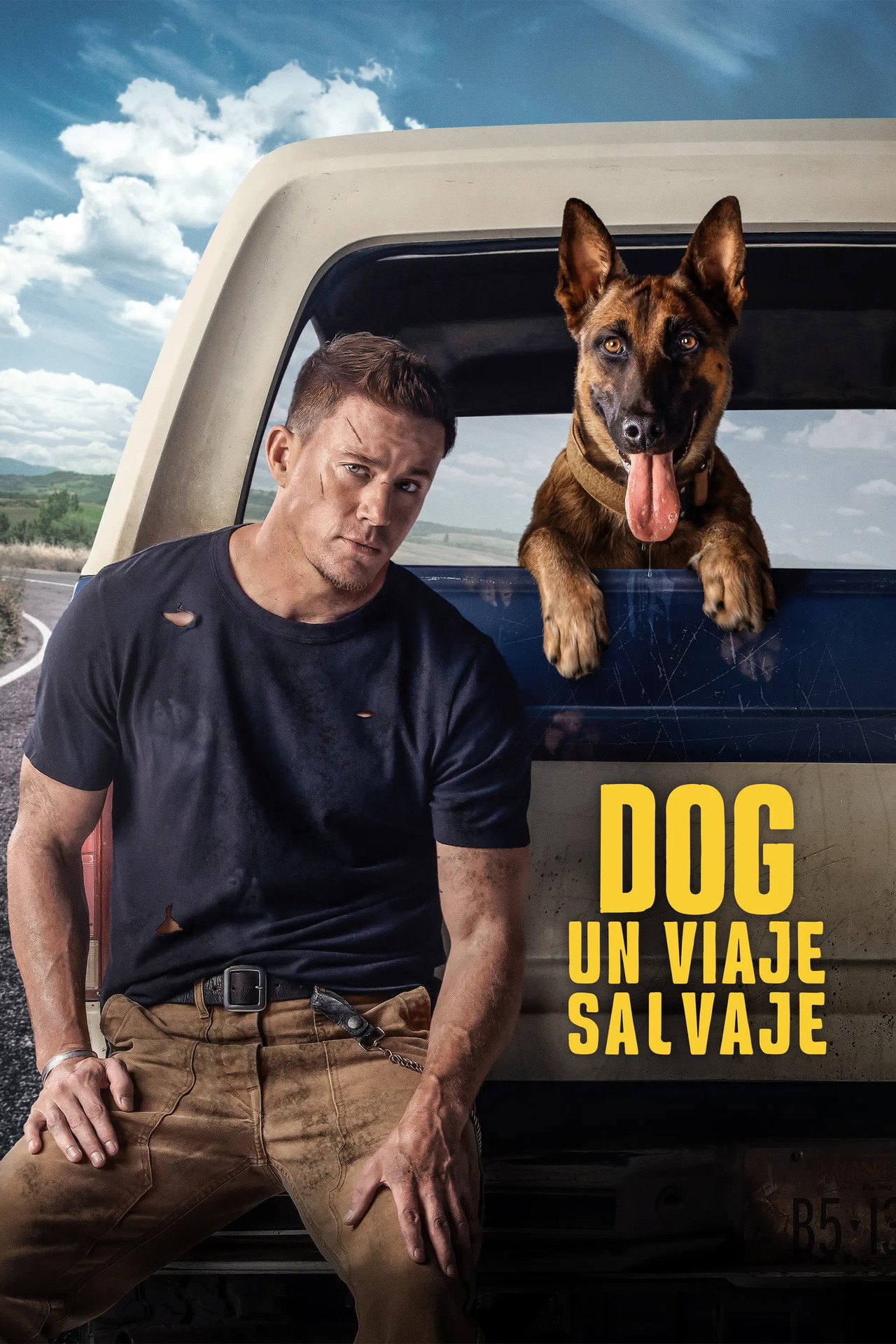 Dog - Un viaje salvaje (2022) poster