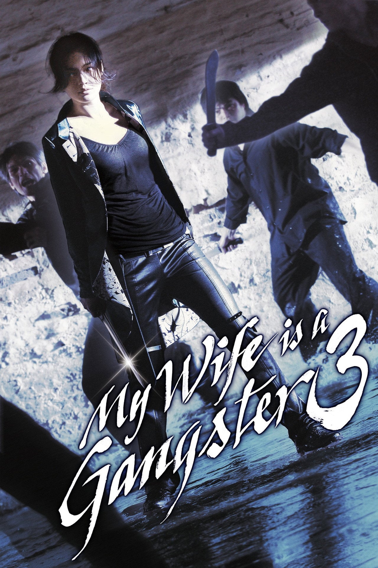 My Wife Is a Gangster 3 (2006)