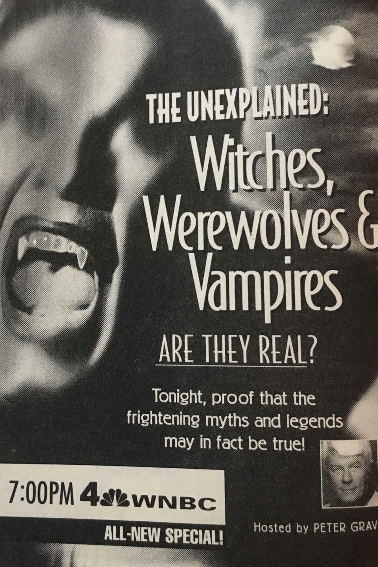 The Unexplained Vampires (1994) poster