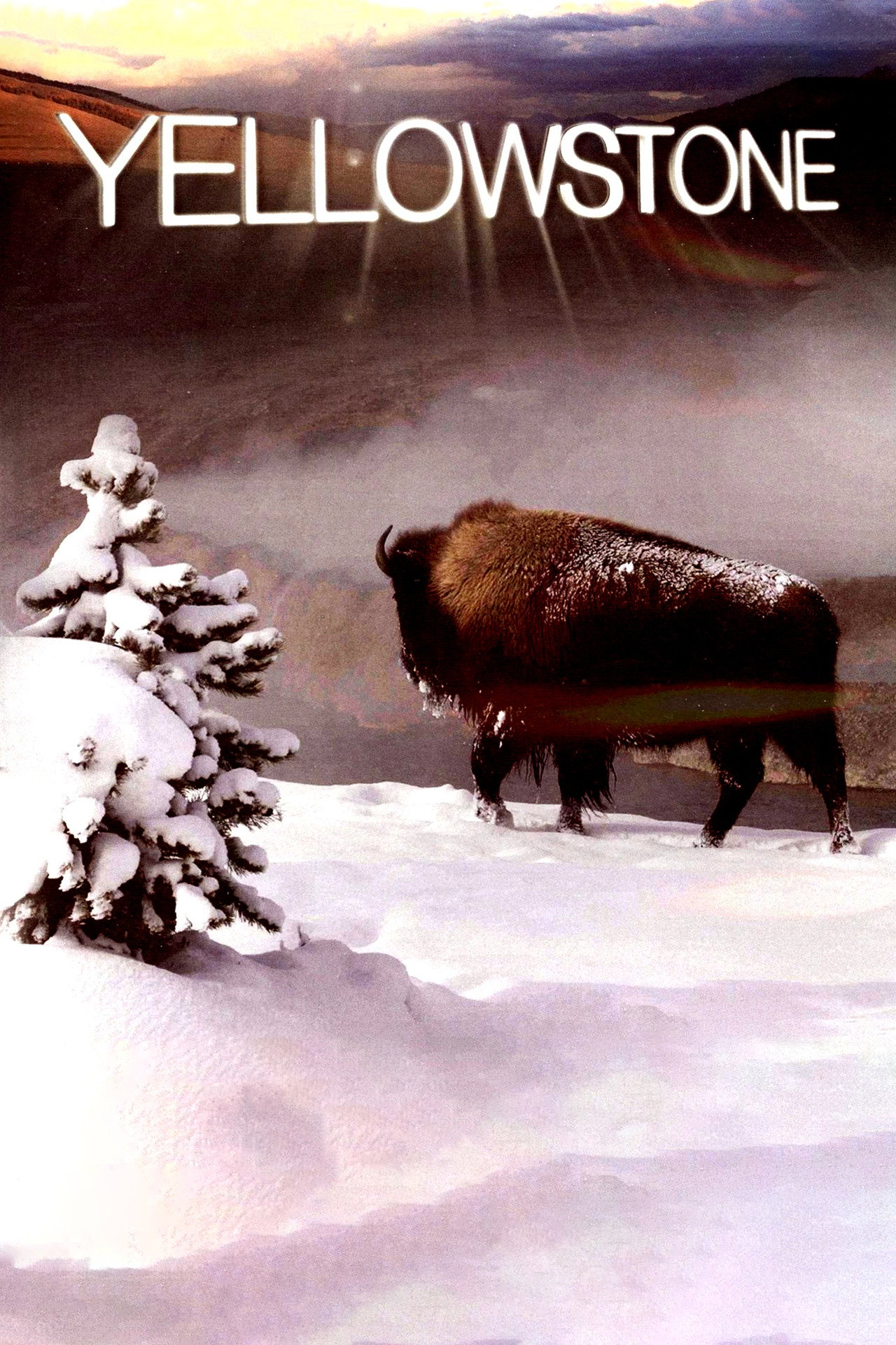 Yellowstone (2009) - TV