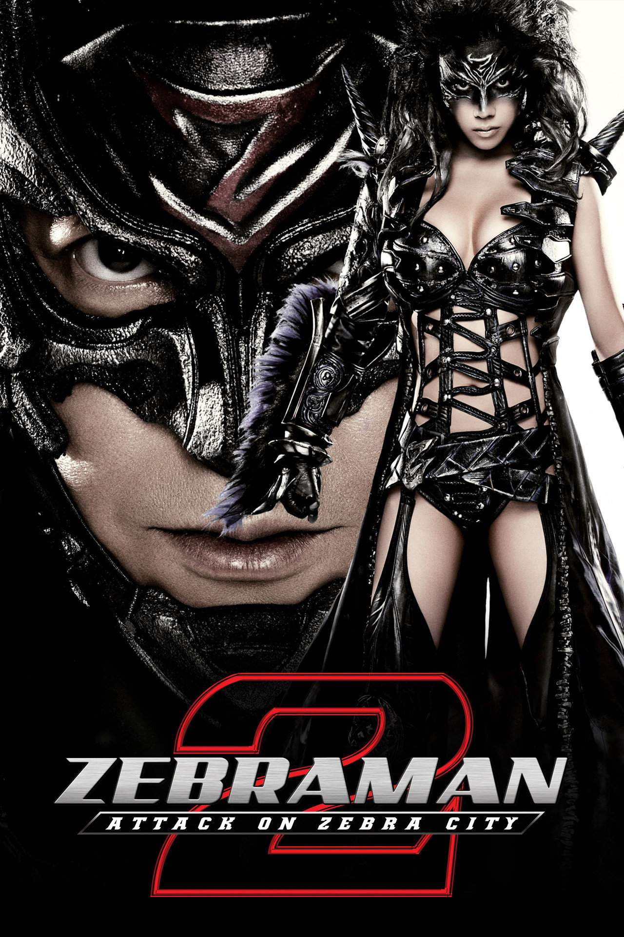 год - Зебра (2010) poster
