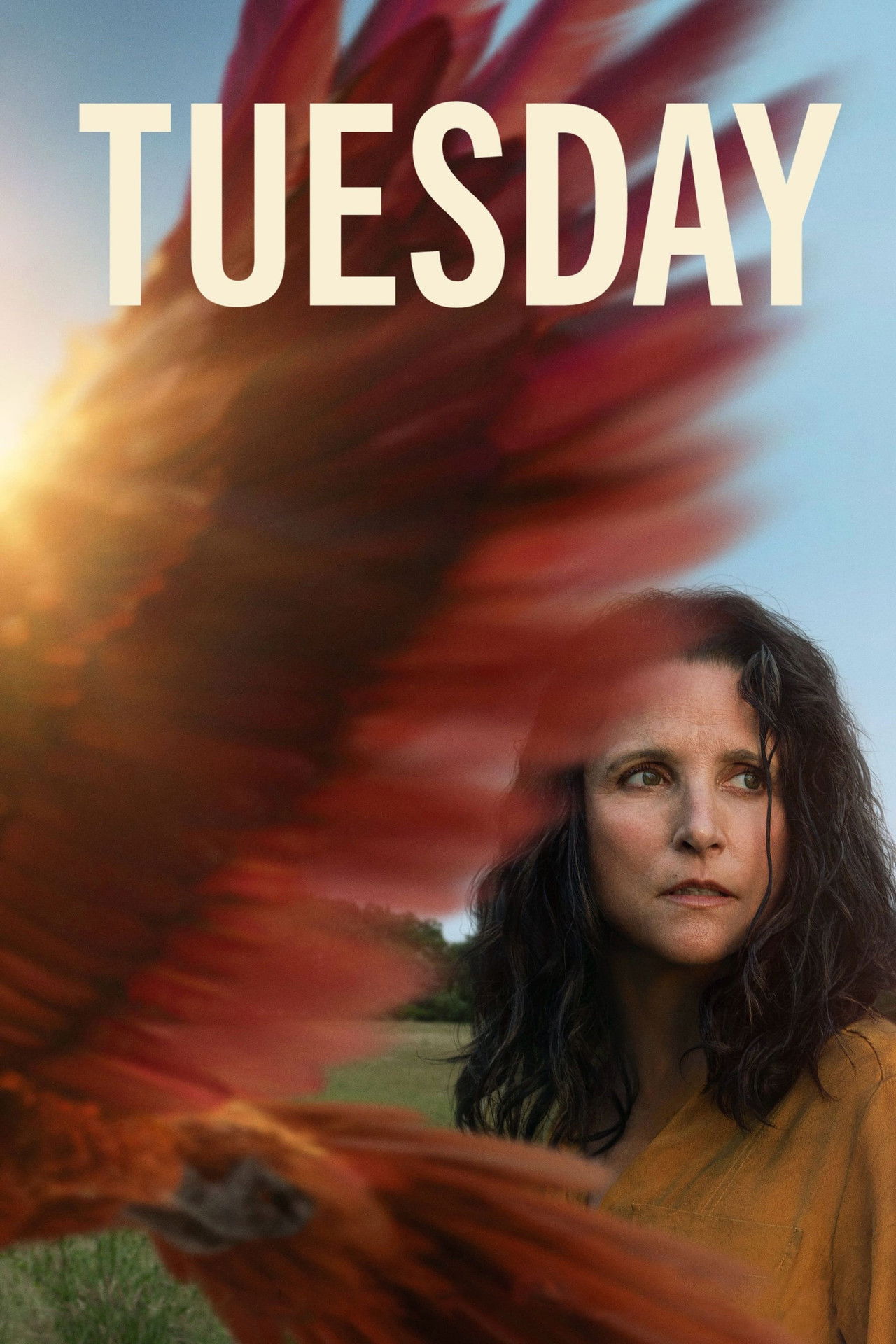 Tuesday (2024) - Movie